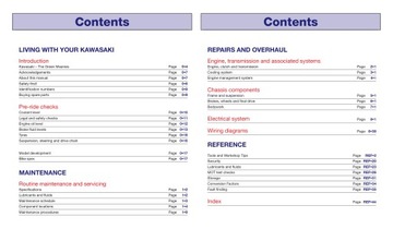 КАК Отремонтировать МОТОЦИКЛ KAWASAKI ZX 1000 SX 1043 куб.см (2011-2016 гг.)? ОПИСАНИЕ