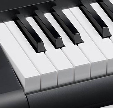 CASIO WK-6600 + педаль фортепиано + подставка