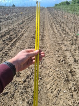 Столб Стекловолоконный столб 150см, 8мм, 25 шт.