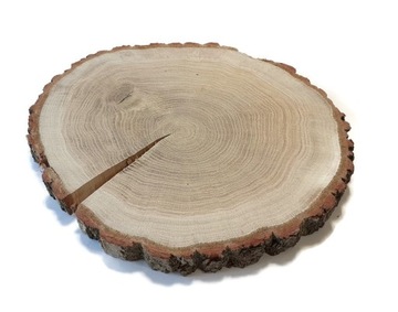 plastry drewniane Dąb pęknięty 30-35 cm gr 3 cm krążek dębowy