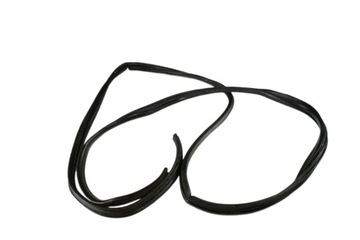 USZCZELKA DRZWI PRZEDNICH TRAFIC III