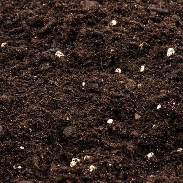 ПОЧВА для зелени и пальм 10л КОМПО