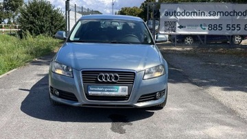 Audi A3 8P Hatchback 3d 1.6 TDI 105KM 2010 Audi A3 Raty tylko 150 tys km 5drzwiowy Sportback serwis Import Gwarancja, zdjęcie 5