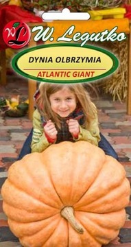 Dynia olbrzymia Atlantic Giant 3g