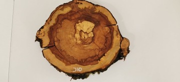 Plaster Jabłoni 39x38cm Drewno Pod Żywicę Stolik