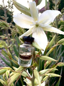 Yves Rocher BLACK VANILLA 5ml Seria limitowana + GRATIS