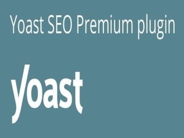 Wtyczka Addon Plugin Yoast SEO Premium