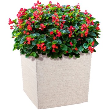 DONICZKA DONICA OSŁONKA Z WKŁADEM KOLORY 19 cm