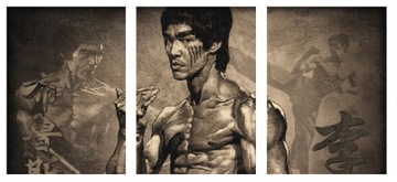 3x OBRAZ NA ŚCIANĘ BRUCE LEE 20x30