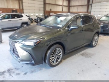 Lexus NX II 2026 Lexus NX 2026 LEXUS NX 350H LUXURY 2.5 Hybryda 189KM, zdjęcie 2