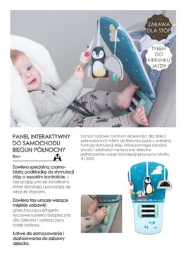 Taf Toys Защитная панель для автомобильной панели Северный полюс