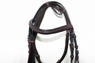 УЗДЦА + АНАТОМИЧЕСКИЕ ПОВОДА ДЛЯ ПРОДАЖИ ПОНИ