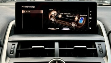 Lexus NX I 2020 Lexus NX 300h,Hybryda,4x4,Europa, zdjęcie 27