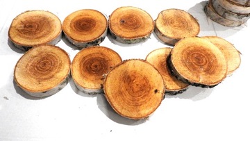 СРЕЗ ДЕРЕВА, КРУГ БЕРЕЗОВОЙ ШТАМПЫ 9-14СМ, 1 ШТ.