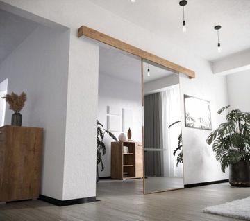 Раздвижная дверь Внутреннее зеркало VDL 106 O-диван