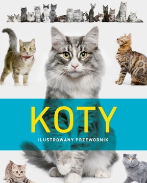 Koty. Ilustrowany przewodnik Praca zbiorowa