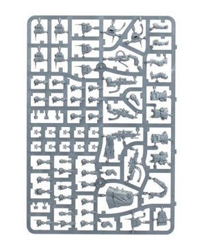 Kill Team — Касркин