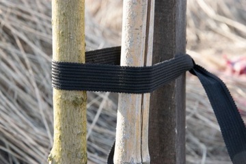 ЛЕНТА ДЛЯ КРЕПЛЕНИЯ РАСТЕНИЙ, ДЕРЕВЬЕВ И КУСТАРНИКОВ, ОЧЕНЬ ПРОЧНАЯ ДЛИНА 26мм 50М 26Х50