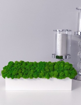 Цветочный горшок БЕЛЫЙ со СВЕТЛО-ЗЕЛЕНЫМ мхом, 30 см