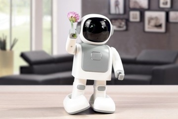 ИНТЕРАКТИВНЫЙ РОБОТ С ДИСТАНЦИОННЫМ УПРАВЛЕНИЕМ ПО ТЕЛЕФОНУ, ПРОГРАММИРУЕМЫЙ BLUETOOTH