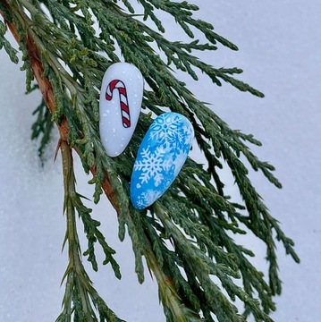 Пластина для стемпинга ногтевой пластины ART STAMPING by VAKULA WINTER C026