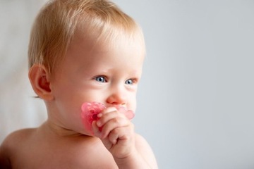 Teether, Голубая малина, пустышка RaZbaby для прорезывания зубов у ребенка