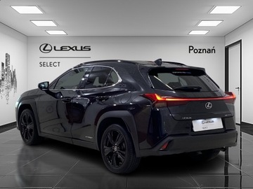 Lexus UX 2022 Lexus UX 250h GPF F Impression 2WD Lexus UX 250h G, zdjęcie 8