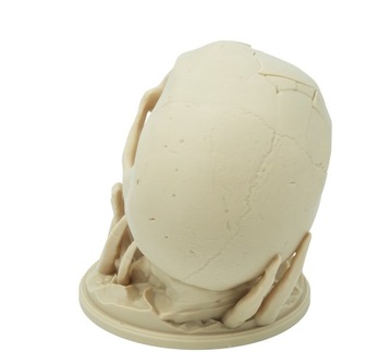 Башня для игры в кости с черепом «Поцелуй пустыни»