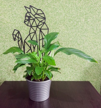 ПОДДЕРЖКА ДЛЯ РАСТЕНИЙ ДЛЯ ЦВЕТОВ ЛЕСТНИЦА ПЕРГОЛА КОШКА 37см