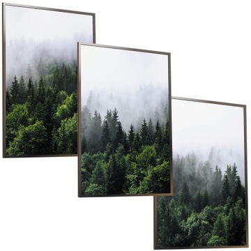 ZESTAW 50x40 RAMKA PLAKAT OBRAZ LAS W MGLE NATURA