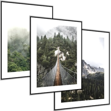 3 x PLAKAT OBRAZ 50x70 las góry most zielony drzew zielone plakaty widok