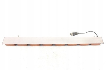 BELKA OSTRZEGAWCZA KOGUT MONZA