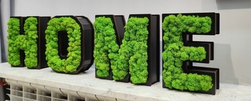 HOME 3D надпись, мох стоячий, ширина до 90 см, высота 21,5 см