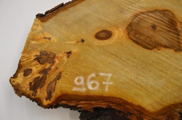 Разделочная доска для подноса ломтик каштана 46х32гр5см