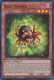 Yu-Gi-Oh! TCG: Baby Spider (BLMR)