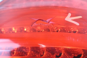 BMW 3 E92 COUPE LCI SVĚTLO ZADNÍ PRAVÁ LED 7251958