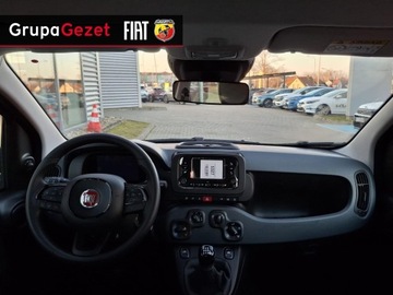 Fiat Panda III 2025 Fiat Panda Pandina Icon 1.0 70 KM 5-miejscowa, zdjęcie 10