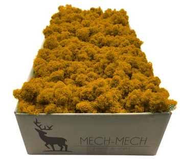 Mech Chrobotek Fiński 500g