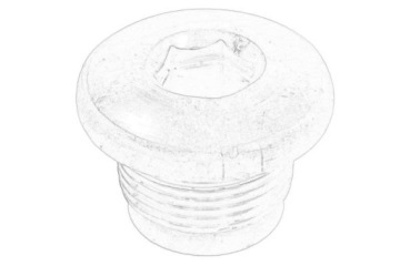 Śruba głowicy cylindrów FIAT 46437207