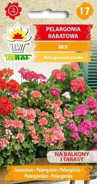 Pelargonia rabatowa Mix mieszanka nasiona kwiatów Toraf kwiaty na balkon