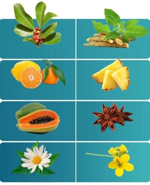 YERBA MATE NA USPOKOJENIE, stres z Ashwagandhą - Chill Vibe Yerba Mistica