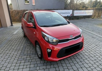 Kia Picanto III Hatchback 5d 1.0 MPI 67KM 2019 Kia Picanto 1,0 67KM klimatyzacja 1Wlasciciel Kola lato zima Benzyna, zdjęcie 2