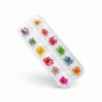 Box suszone kwiatki do Nail Art - 12 kolorów