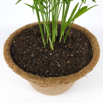 Грунт для субстрата ZAMIOKULKAS 5л