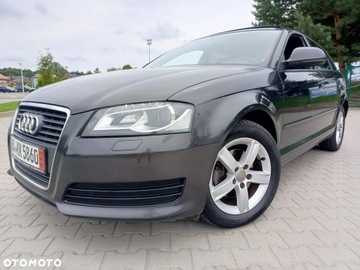 Audi A3 8P Hatchback 3d 1.4 TFSI 125KM 2009 Audi a3 Audi A3 1.4 TFSI S line Sportpaket 1.4 Benzyna 125KM