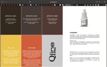 QLINE PRO PIGMENT DO MAKIJAŻU PERNAMENTENGO NUDE 01 COLD - MONODOSE 0,7ml