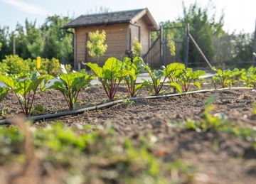 LINIA KROPLUJĄCA Z KOMPENSACJĄ NAWODNIENIE 50m KROPELKOWE WĄŻ 48el SET1 +20