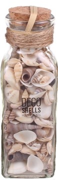 Naturalne muszle morskie w szklanej butelce z korkiem DECO SHELLS