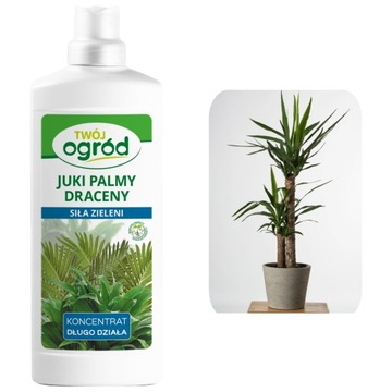 УДОБРЕНИЕ ДЛЯ JUK Palm Dracen 900ML КОНЦЕНТРАТ POWER OF GREEN PLAN NUTRITIONER