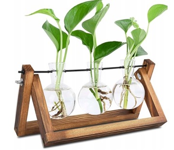 ГИДРОПОНИЧЕСКАЯ ВАЗА x3 ДЛЯ ВЫРАЩИВАНИЯ В ВОДЕ Станция укоренения растений в пробирках